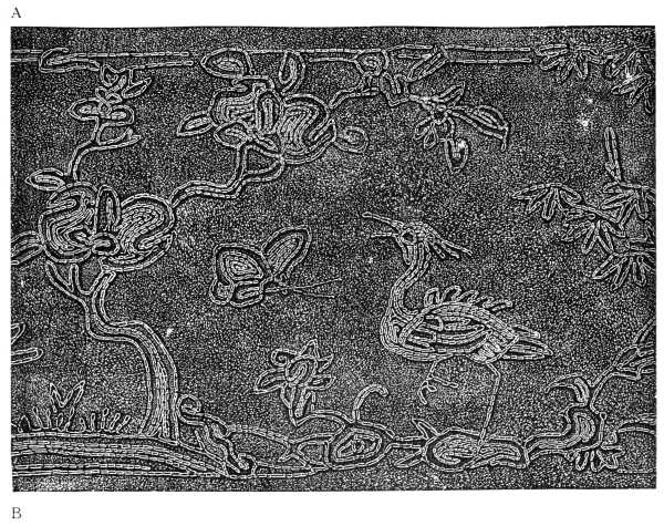 FIG. 246. CHINESE GOLD EMBROIDERY. First part.