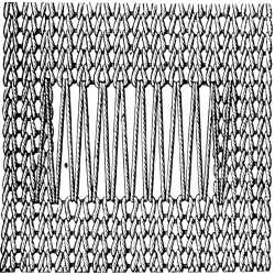 FIG. 373. DARNING ON THREADS STRETCHED OBLIQUELY ACROSS. POSITION OF THE THREADS.