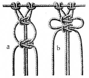 FIG. 534. LOOPED PICOT.