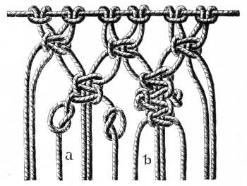 FIG. 535. KNOTTED PICOT.
