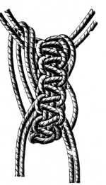 FIG. 575. LARGE SHELL KNOT, OPEN.