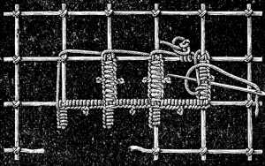 FIG. 663. CUT WORK IN EMBROIDERED NETTING.