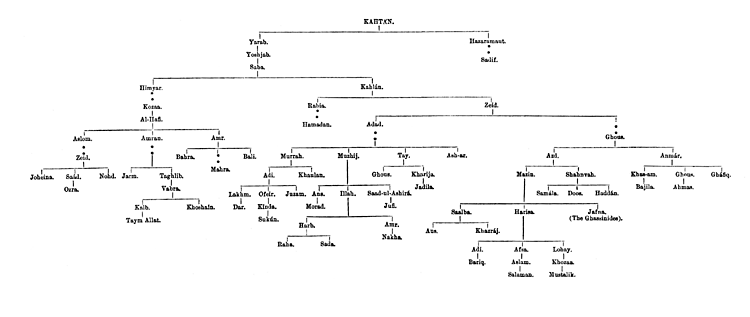 Genealogical Table of the Arabs - Kahtan