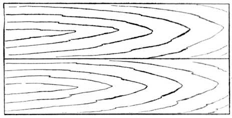 Fig. 13.—Boards showing uniformity of Grain.