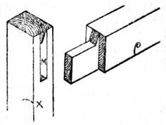 Fig. 186.—The Joint Separated.