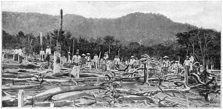 Een deel der jungle wordt verbrand voor het planten van caoutchouc.