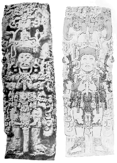 Fig. 19.—The front of Stela B (famous for the realistic representations of the Indian elephant at its upper corners), one of the ancient Maya monuments at Copan, Central America (after Maudslay's photograph and diagram). The girdle of the chief figure is decorated both with shells (Oliva or Conus) and amulets representing human faces corresponding to the Hathor-heads on the Narmer palette (Fig. 18).