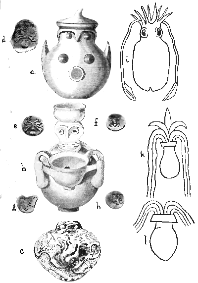 Fig. 24. (a) and (b) Two Mycenæan pots (after Schliemann). (a) The so-called "owl-shaped" vase is really a representation of the Mother-Pot in the form of a conventionalized Octopus (Houssay). (b) The other vase represents the Octopus Mother-Pot, with a jar upon her head and another in her hands—a three-fold representation of the Great Mother as a pot. (c) A Cretan vase from Gournia in which the Octopus-motive is represented as a decoration upon the pot instead of in its form. (d), (e), (f), (g), and (h) A series of coins from Central Greece (after Head) showing a series of conventionalizations of the Octopus, with its pot-like body and palm-tree-like arms (f). (i) Sepia officinalis (after Tryon). (k) and (l) The so-called "spouting vases" in the hands of the Babylonian god Ea, from a cylinder seal of the time of Gudea, Patesi of Tello, after Ward ("Seal Cylinders, etc.," p. 215). The "spouting vases" have been placed in conjunction with the Sepia to suggest the possibility of confusion with a conventionalized drawing of the latter in the blending of the symbolism of the water-jar and cephalopods in Western Asia and the Mediterranean.