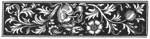 decorative illustration decorative illustration