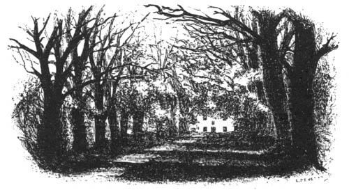 The Avenue, Craighouse The Avenue, Craighouse