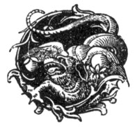 decorative illustration decorative illustration