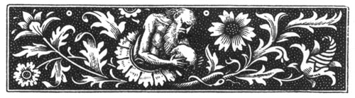 decorative illustration decorative illustration