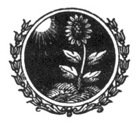 decorative illustration decorative illustration