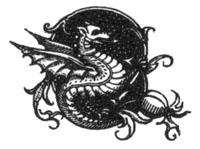 decorative illustration decorative illustration