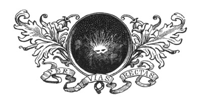 decorative illustration decorative illustration