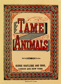 Cover image for Tame Animals
