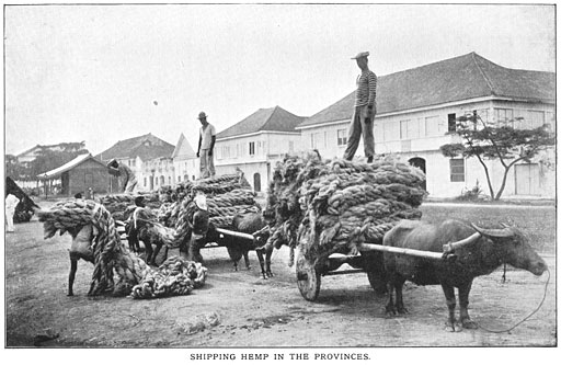 Shipping Hemp in the Provinces