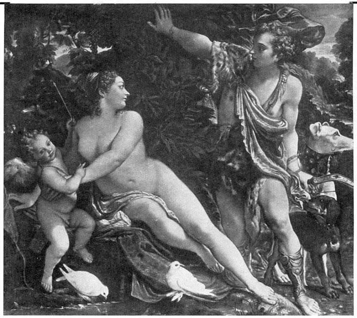 25. Venus en Adonis.