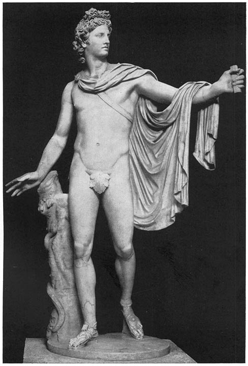 Apollo van Belvedere.