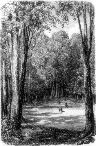 CARLSRUHE: THE GRAND-DUCAL PARK.