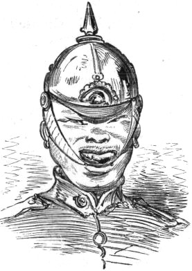 THE GENTLE CERBERUS.