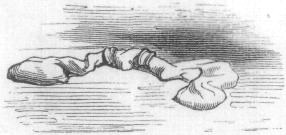 AN EXHAUSTED TRAVELER.