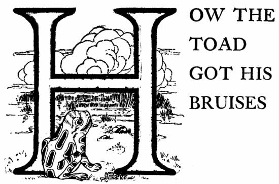 HOW THE TOAD GOT HIS BRUISES