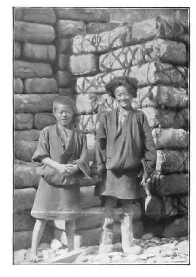 TEA-BALES FOR EXPORT THROUGH RUSSIA