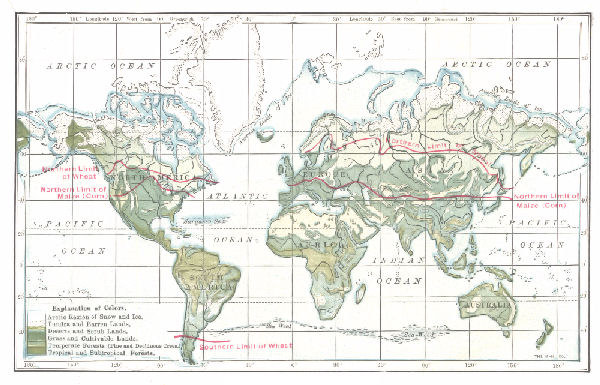 DISTRIBUTION OF VEGETATION