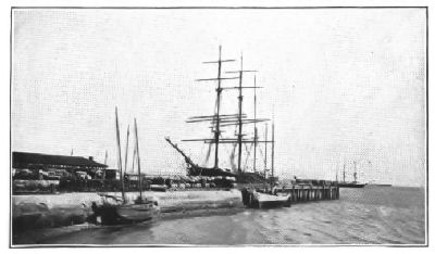 TRANSPORTING COTTON FROM WHARF, CHARLESTON, S.C.