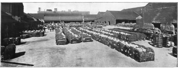 COTTON PRESS YARD, NEW ORLEANS, LA.