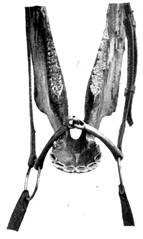 Bit placed on horse's jaw bone to show position and action.