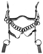 Curb bit with chin-strap buckled.