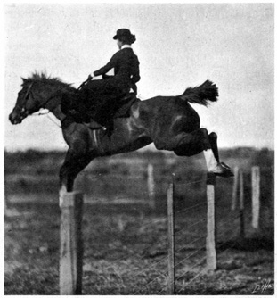 Horse jumping wire fence with woman riding
