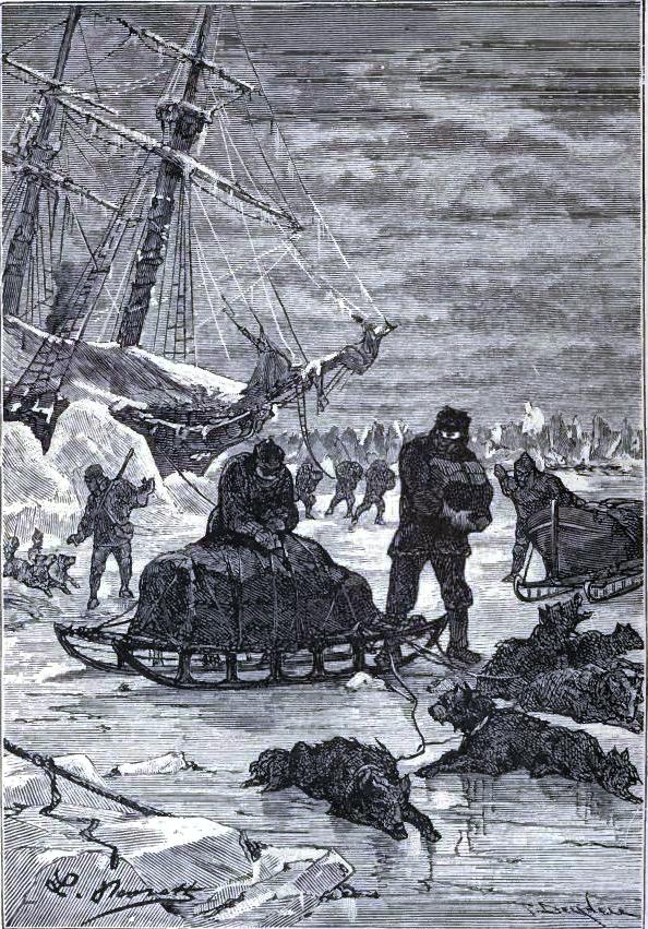 3 экспедиции в арктику в 19-20 веке. Экспедиции 3 10. Третья экспедиция цитаты. Третья экспедиция читать. Полевая экспедиция.