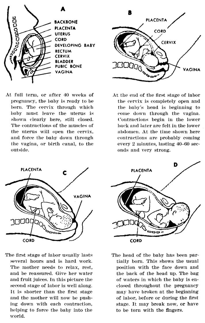 Figures 4A, 4B, 4C, 4D