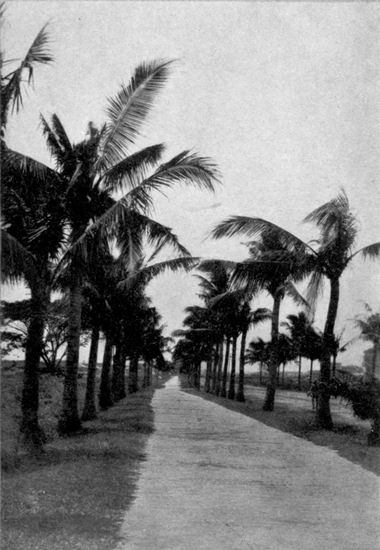 Malecon Drive