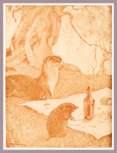 Back Fly Leaf Back Fly Cover