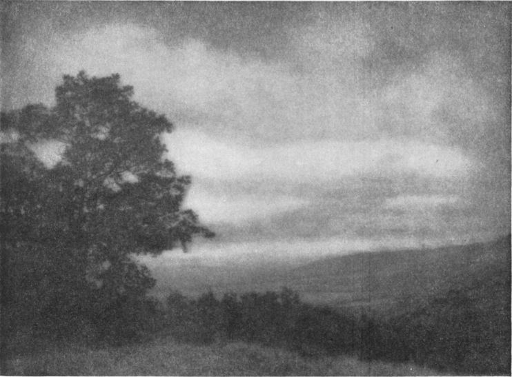 IN THE FOOTHILLS OF THE WASATCHBy Thomas O. Sheckell, Salt Lake City, Utah IN THE FOOTHILLS OF THE WASATCH, By Thomas O. Sheckell, Salt Lake City, Utah