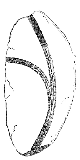 Fig. 149.