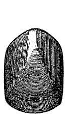 Fig. 51.