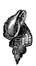 Fig. 84.