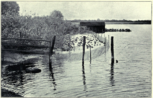 WIRED IN ON THE WATER