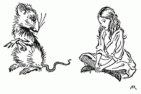 Alice and the Dormouse