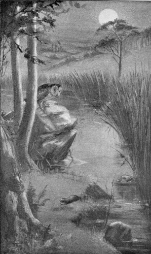 AN OPPORTUNITY CAME, WHICH, HAD SHE BEEN POISED IN THE AIR, COULD SCARCELY HAVE BEEN MISSED.