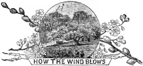 Decorative title - How The Wind Blows - with two children flying kites