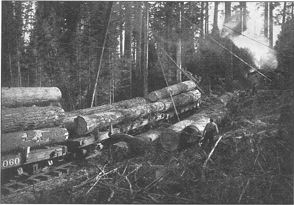 In spite of the wide-spreading farms and fruit orchards, there are still forests in Washington and Oregon, and lumbering is still a great industry.