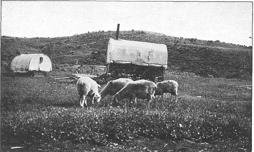 A sheep herder's wagon in the sage-covered hills of Wyoming near the Oregon Trail.