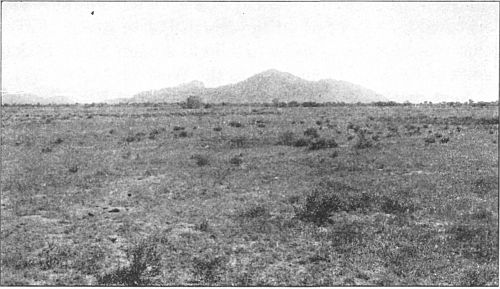 The desert before irrigation.