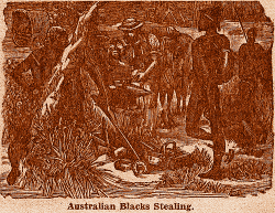 Australian Blacks Stealing.